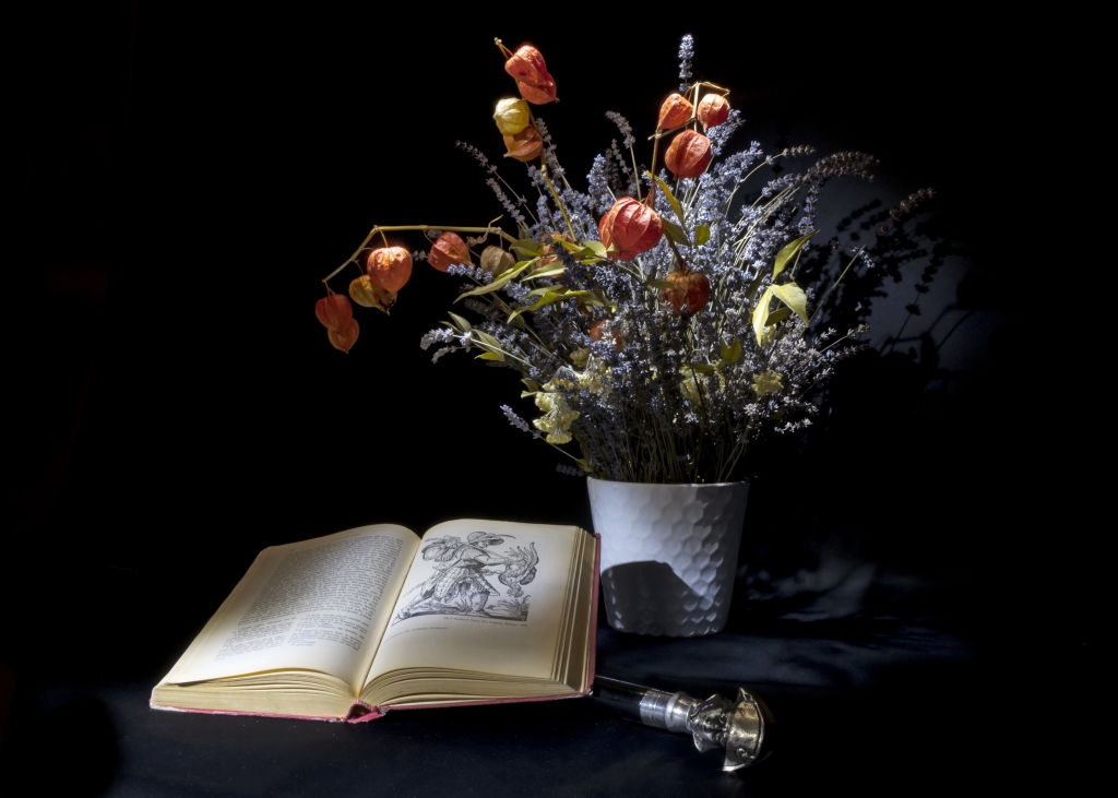 Pausa di lettura