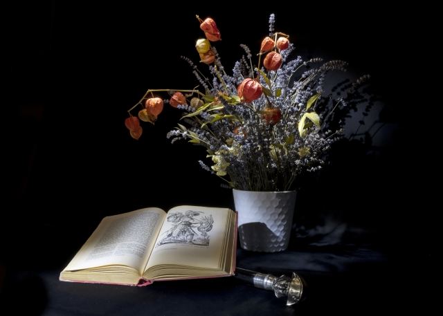 Pausa di lettura
