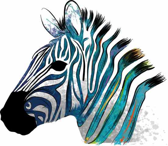 colorful zebra