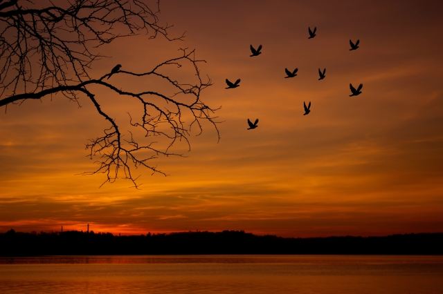 Tramonto rosso