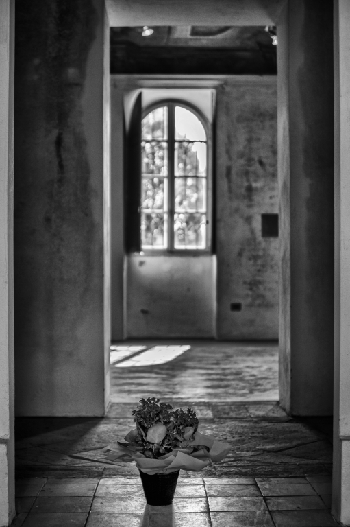 L'interno abbandonato
