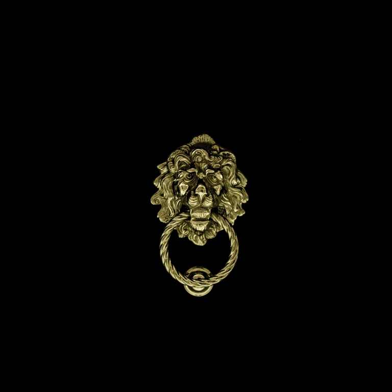 door knocker lion head - Venice Italy