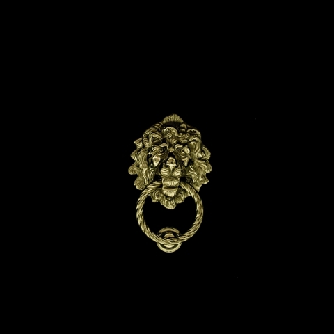 door knocker lion head - Venice Italy · andreatrocani8