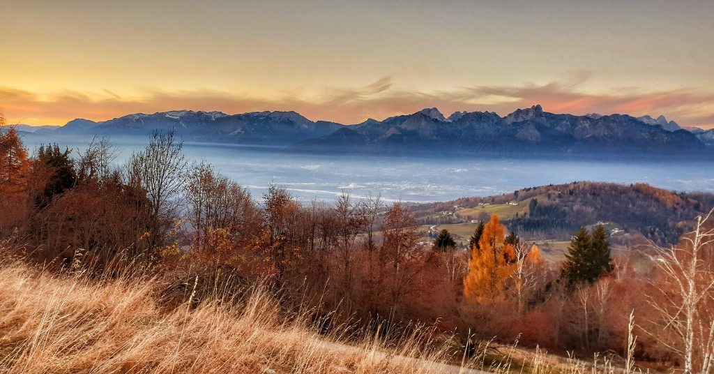 Panorama