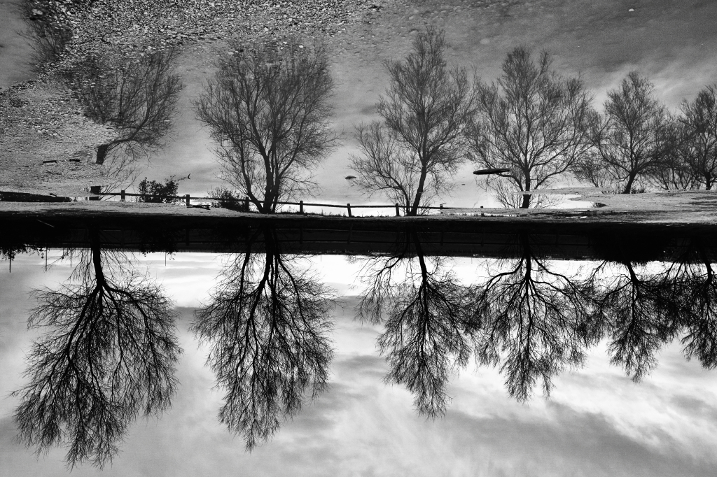 Riflessi