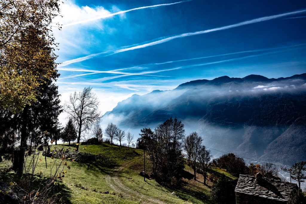 Appena fuori dal bosco