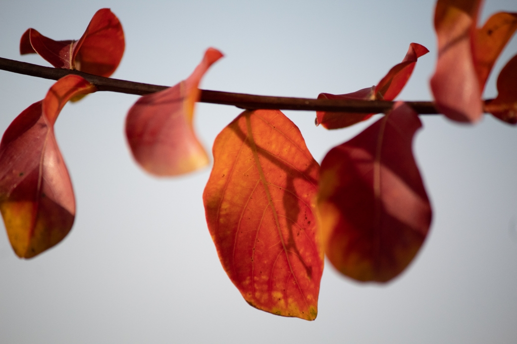 autunno 3