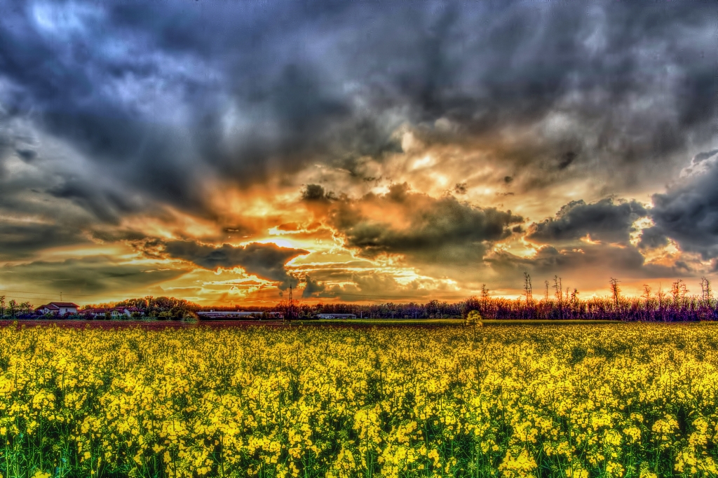 Il cielo dà spettacolo