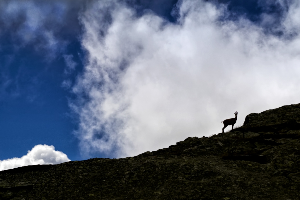 Sentinella al confine
