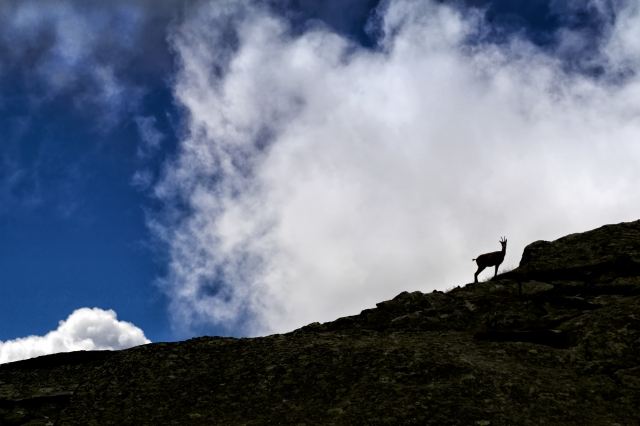 Sentinella al confine