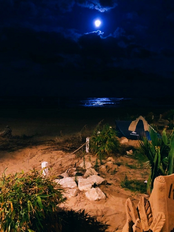 Moonlight n.1
