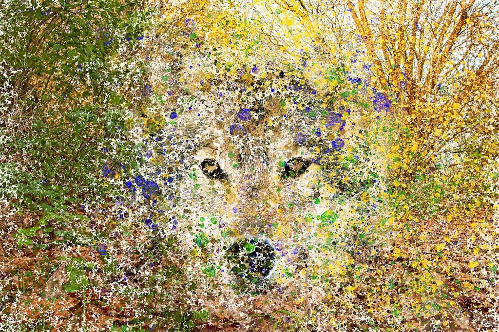 Lupo mimetizzato nel bosco