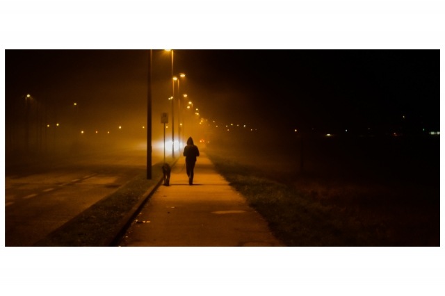 Donna della nebbia
