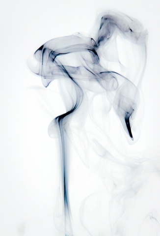 The Blue Swan
