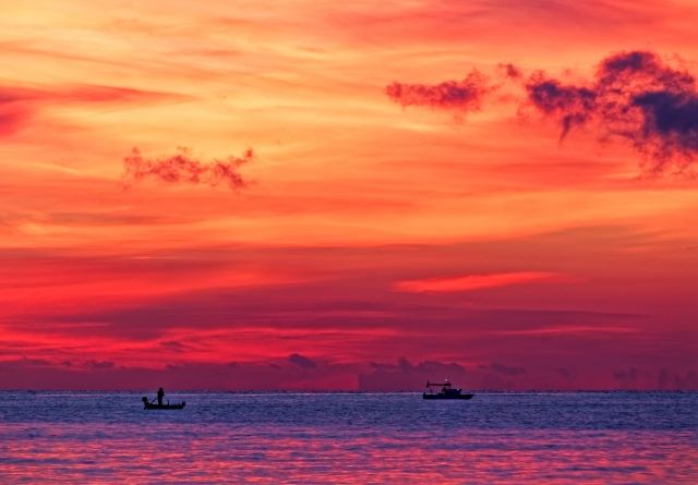 Silhouette di barche prima del sorgere del sole