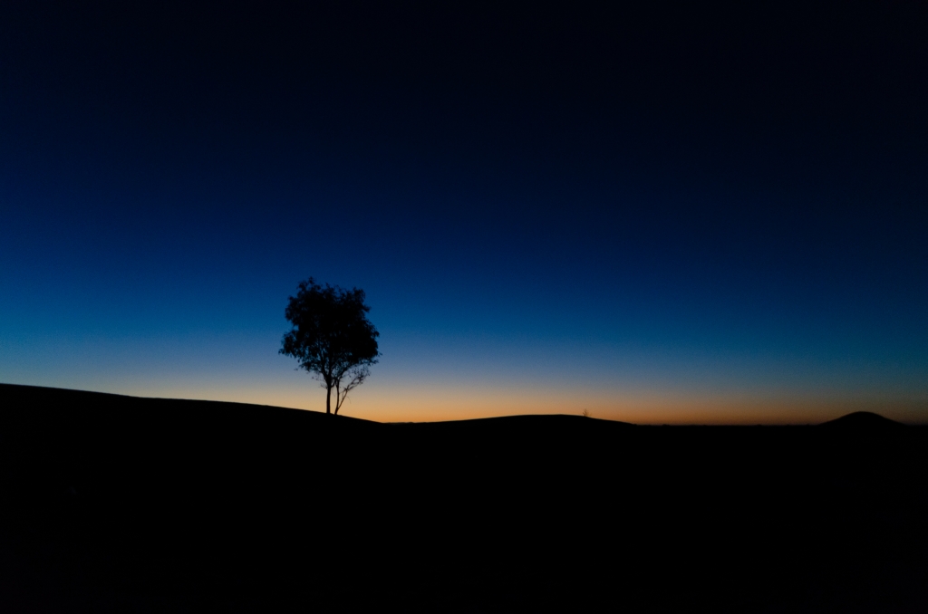 alba solitaria