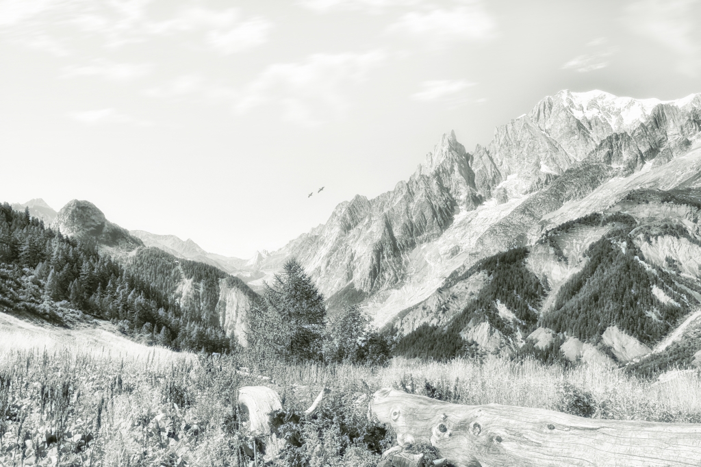 Val Ferret in B&W