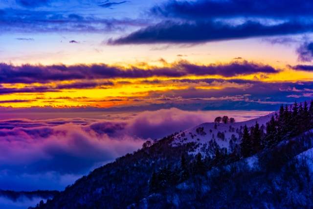 I colori del freddo · dandri