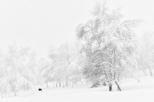 La vita al freddo