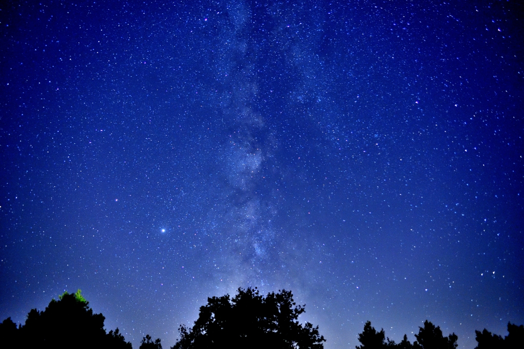 stelle