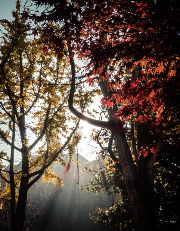 Autumn