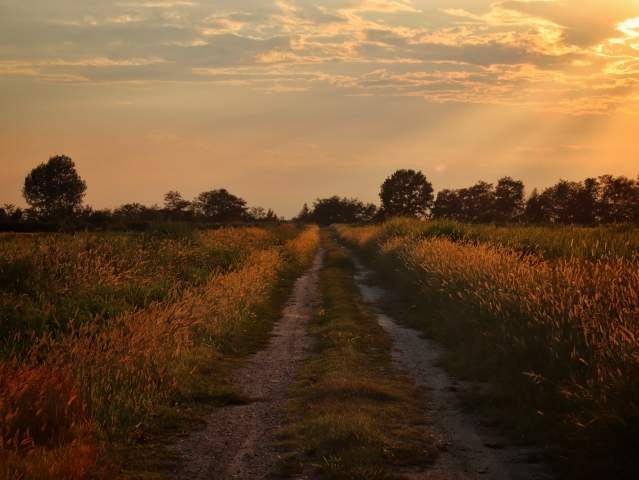 Tramonto nella campagna