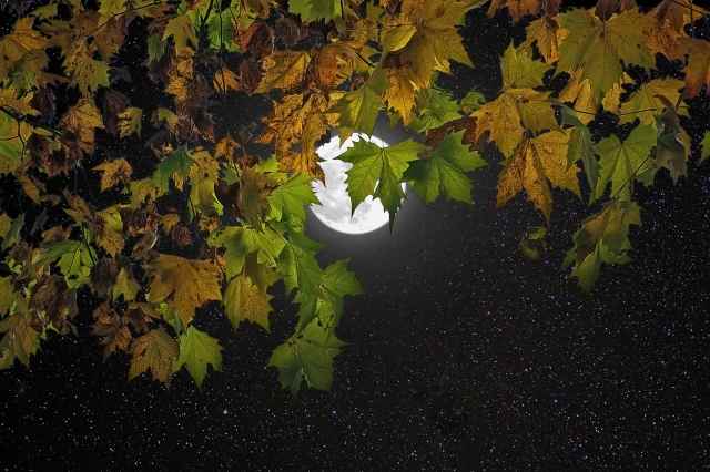 Luna d’autunno