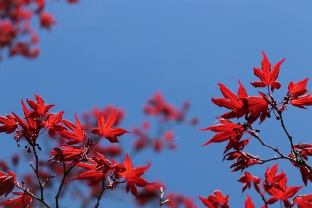 Autunno in città
