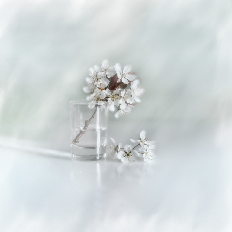 April bloom fantasy
