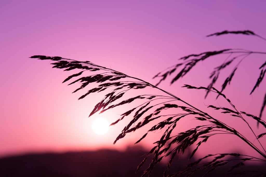 Incredibile luce al tramonto