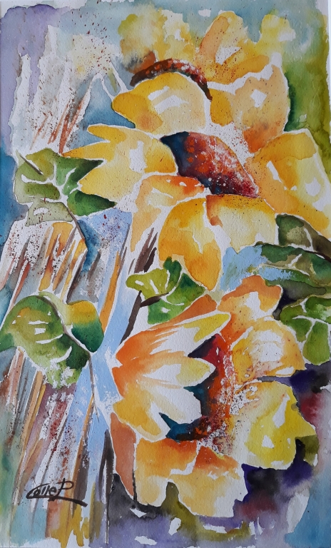 GIRASOLI .....opera del M° Pasquale Colle
