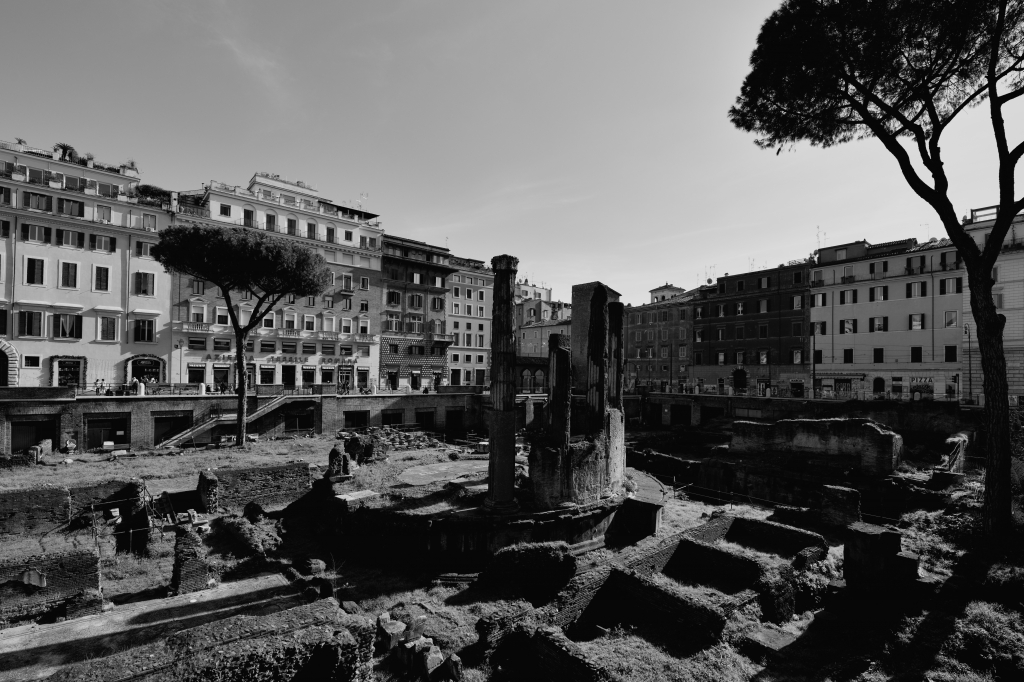 L'area sacra di Torre Argentina