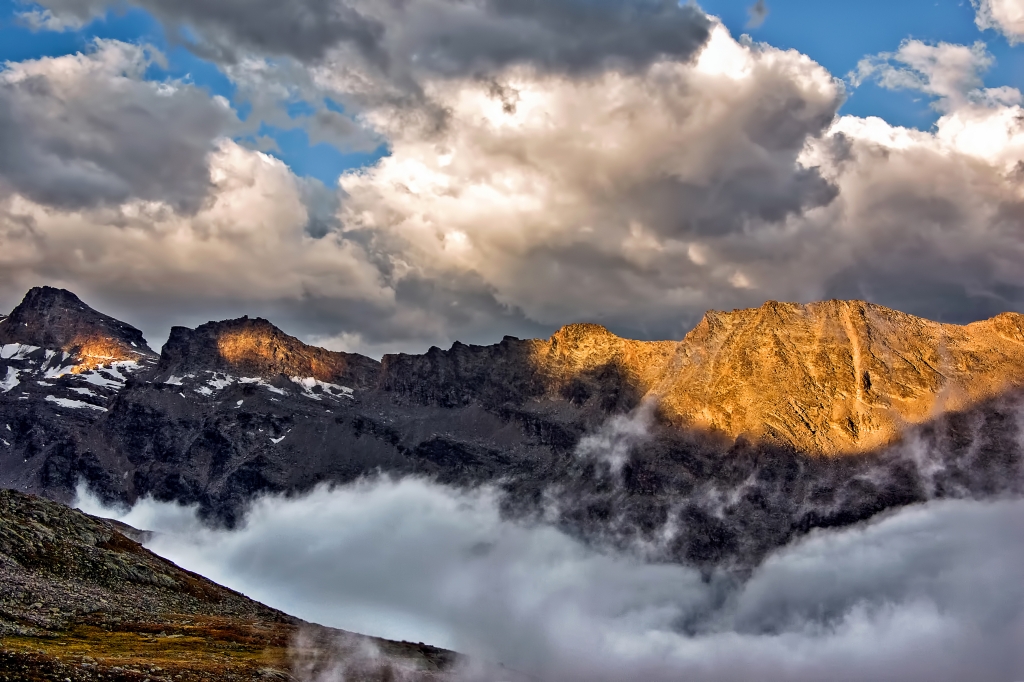 Alba alpina