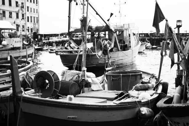 Camogli