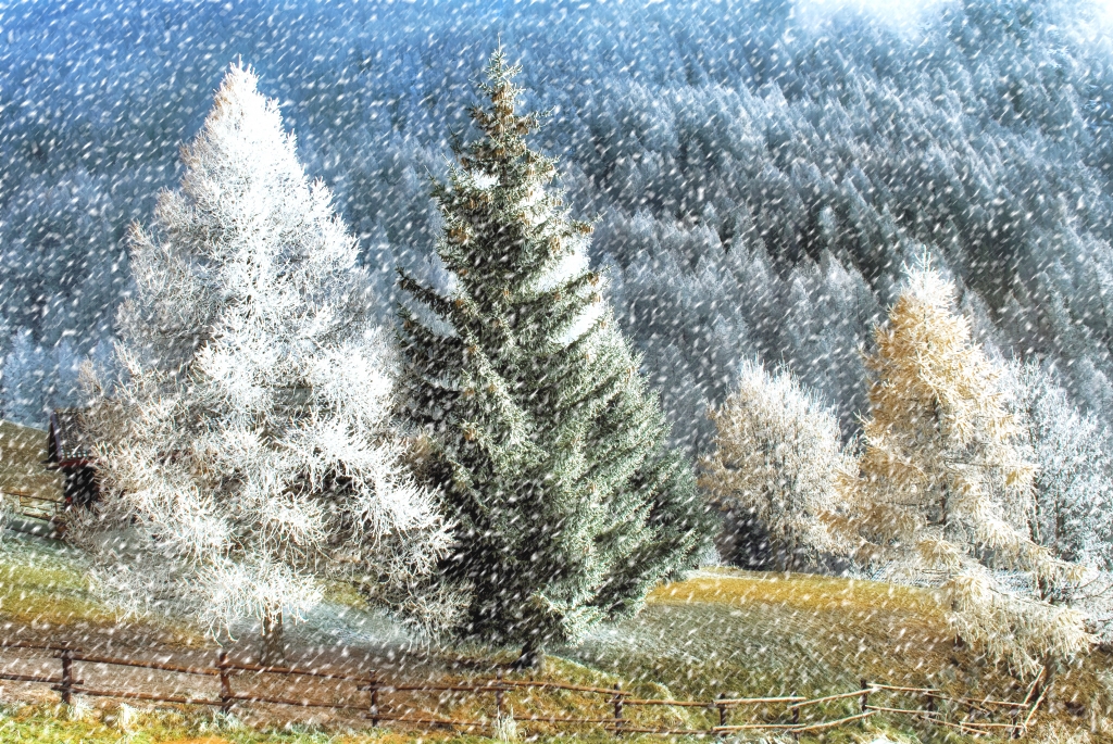 Nevicata