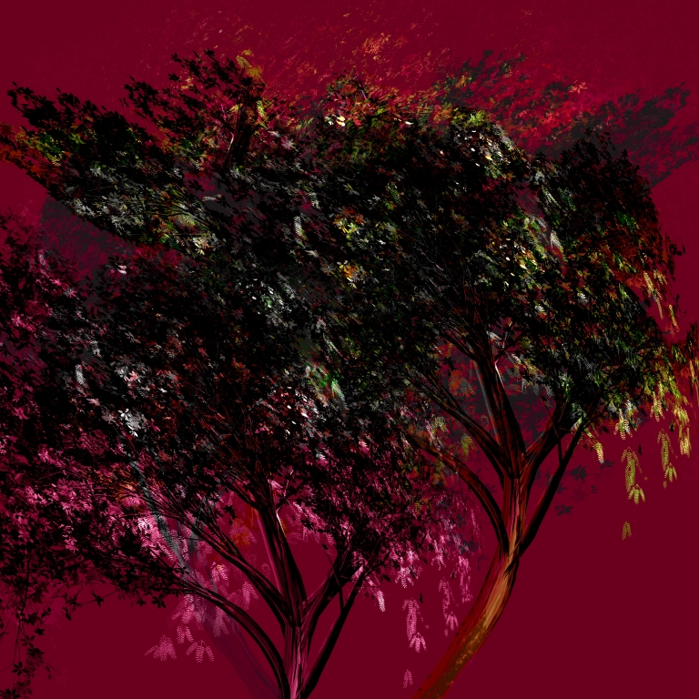 Alberi