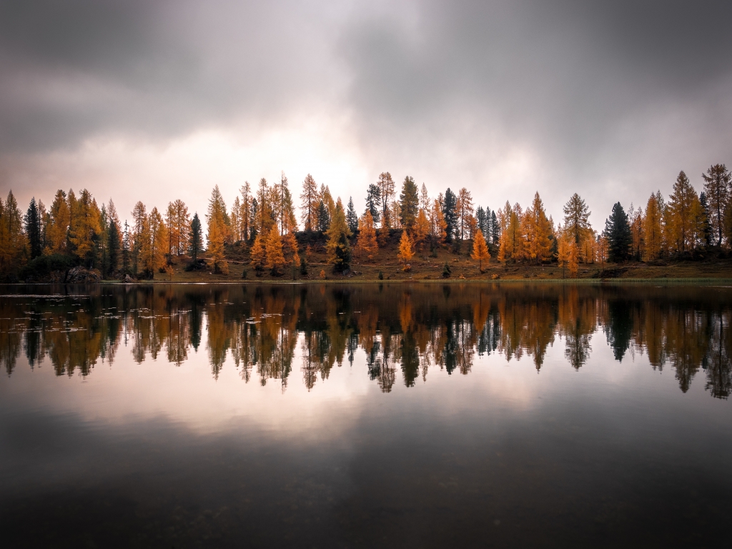 Riflessi