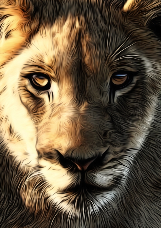 Lions Head