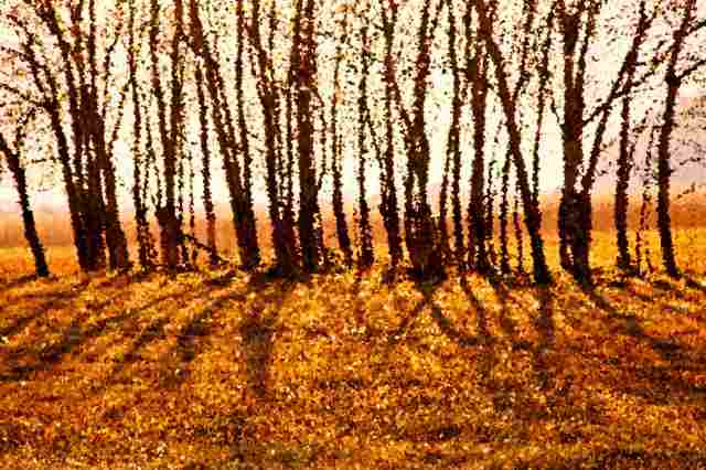 autunno impressionista
