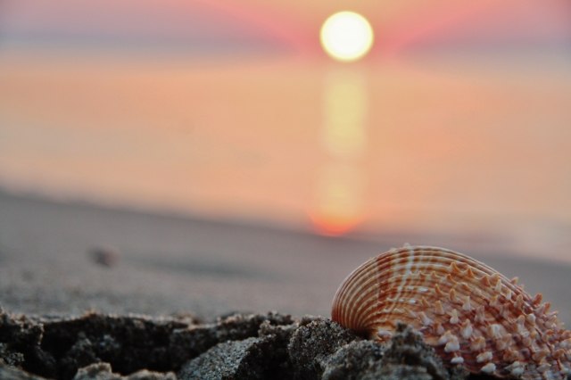Sole al mattino levandosi dal mare