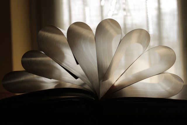 le pagine di un libro