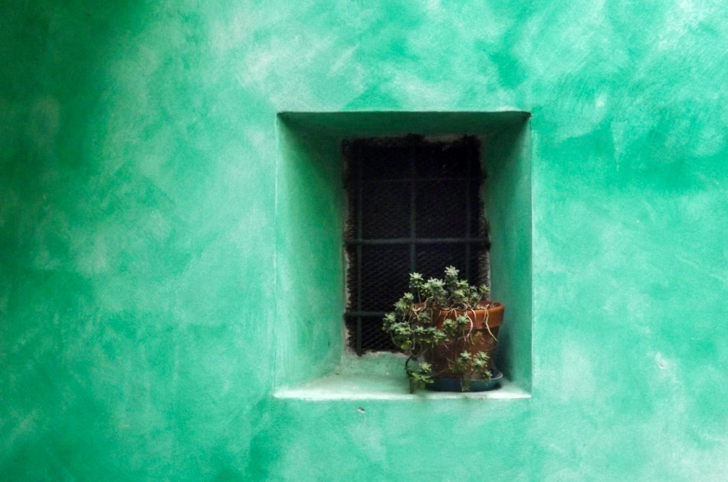muro verde menta