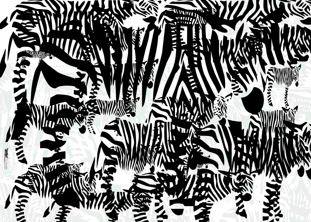 Zebre
