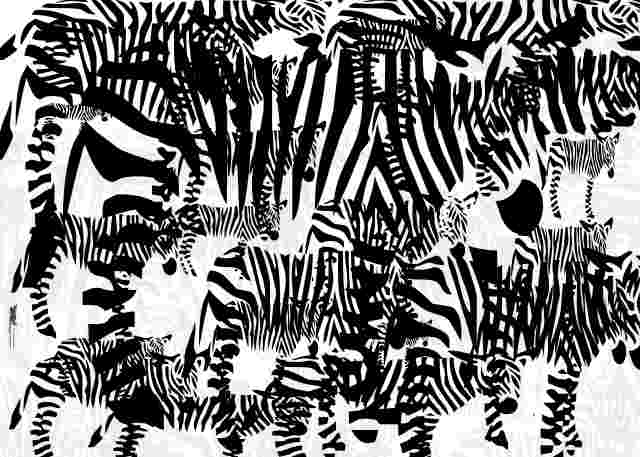 Zebre