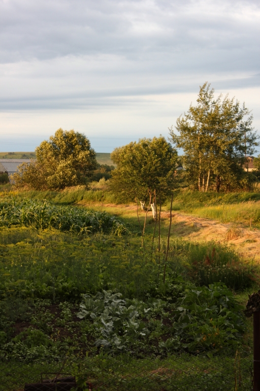 Campagna al tramonto