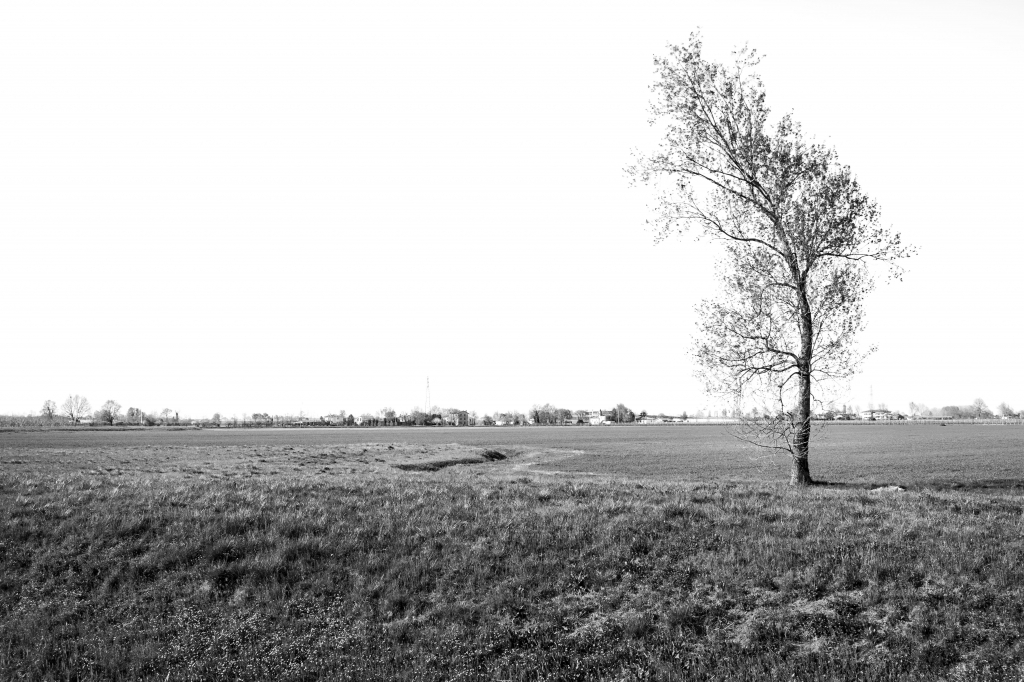 Solitario