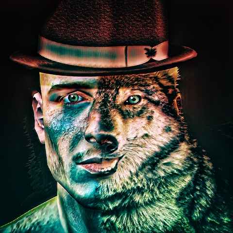 Function (Wolf)