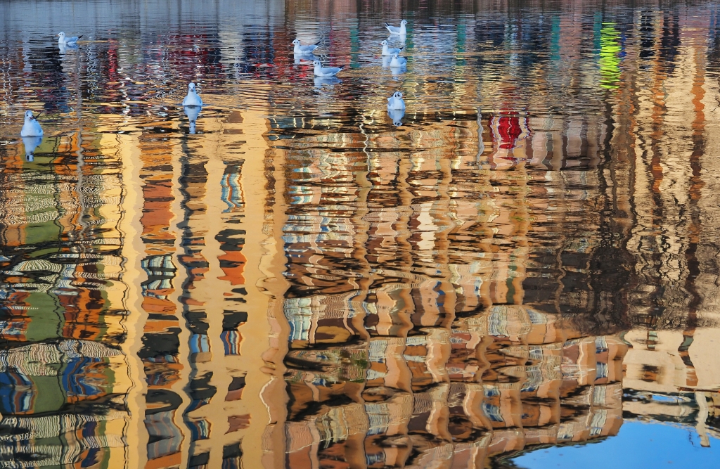 I colori della Darsena