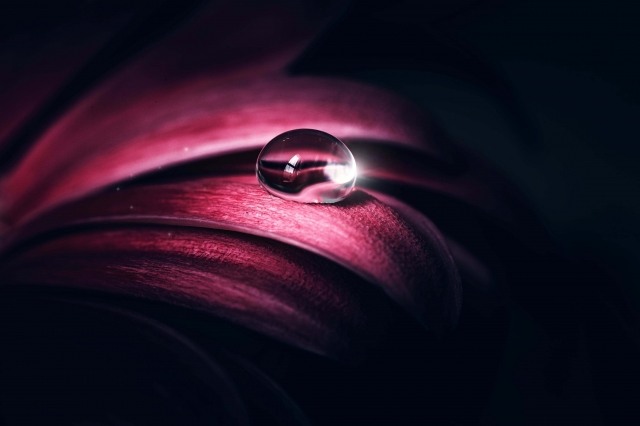 Drop