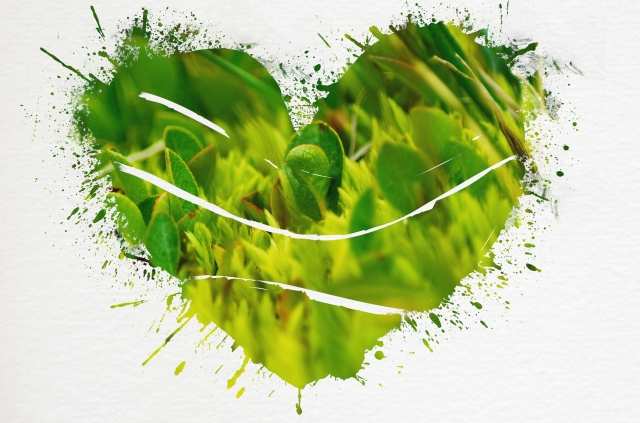 I love green